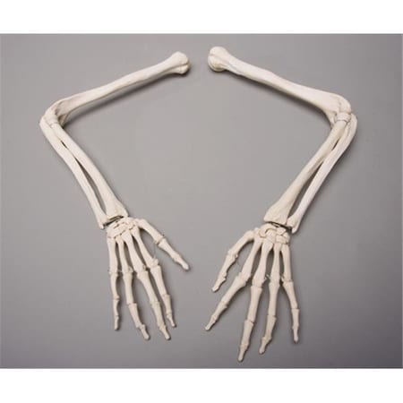 Skeletons And More Skeletons and More SM370D Skeleton Arms  Left and Right SM370D